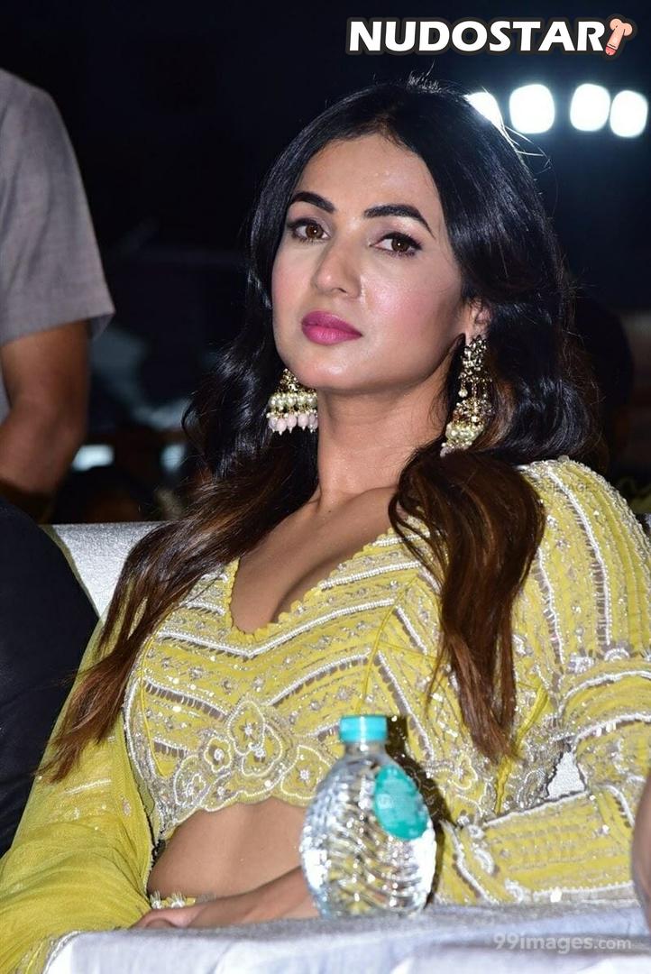 Sonal Chauhan Leaked Photo 16