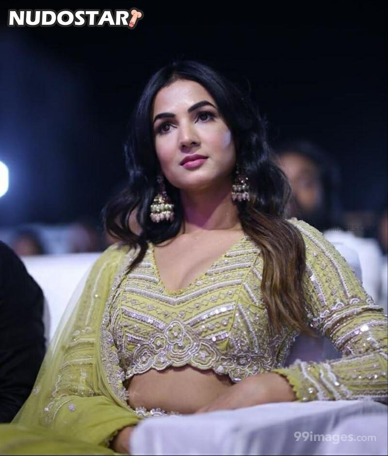 Sonal Chauhan Leaked Photo 12