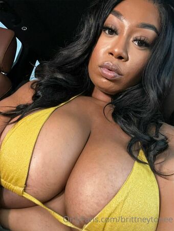 brittneytonee Nude Leaks OnlyFans Photo 13