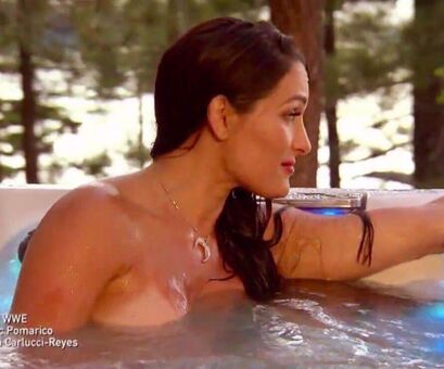 The Bella Twins Nude Leaks OnlyFans Photo 148