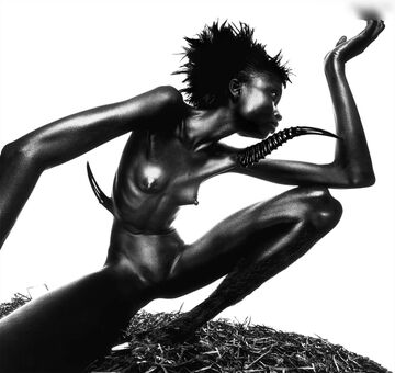 Alek Wek Nude Leaks OnlyFans Photo 14