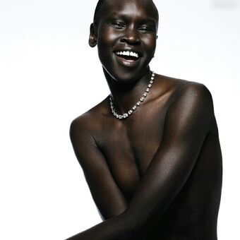 Alek Wek Nude Leaks OnlyFans Photo 17