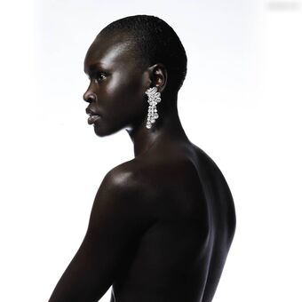 Alek Wek Nude Leaks OnlyFans Photo 19