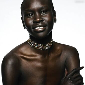 Alek Wek Nude Leaks OnlyFans Photo 22