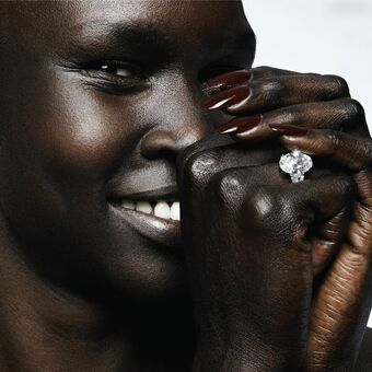 Alek Wek Nude Leaks OnlyFans Photo 20