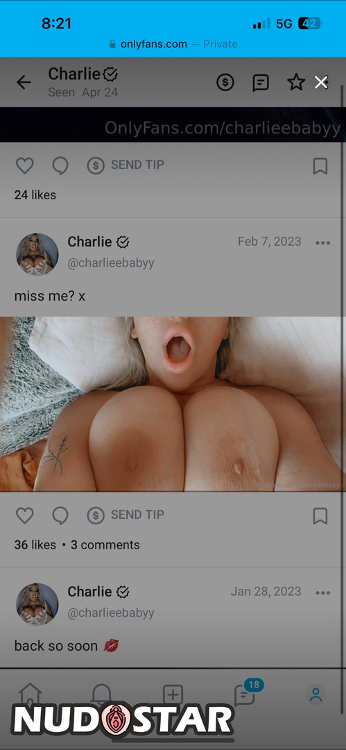 Charlieebabyy Leaked Photo 12