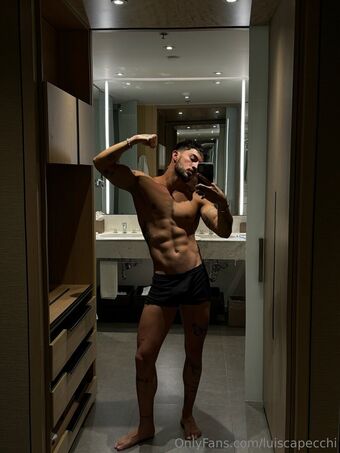 luiscapecchi Nude Leaks OnlyFans Photo 19