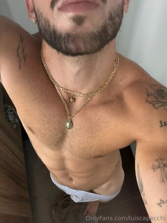 luiscapecchi Nude Leaks OnlyFans Photo 12