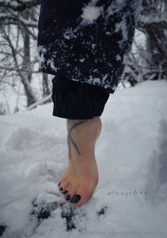 alexandrafxxt Nude Leaks OnlyFans Photo 8