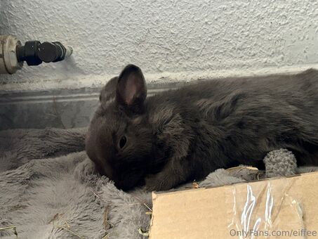 eiffee Nude Leaks OnlyFans Photo 19