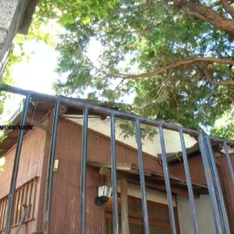 Haruna-hana Nude Leaks OnlyFans Photo 60