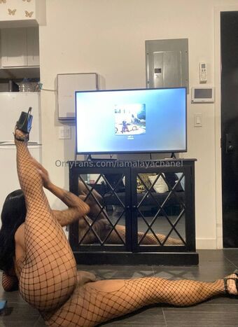 iamalayachanel Nude Leaks OnlyFans Photo 9
