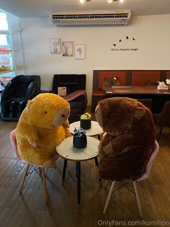 kumihoo Nude Leaks OnlyFans Photo 11