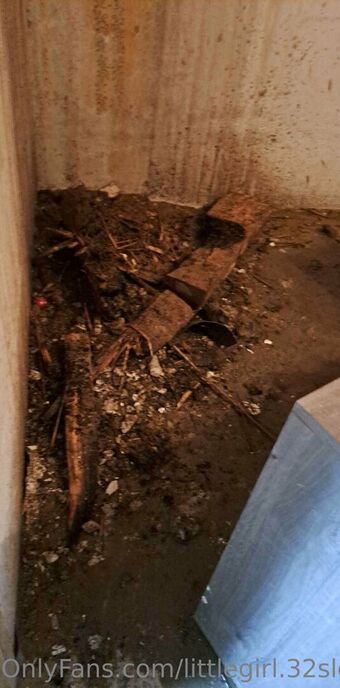 littlegirl.32slovakfree Nude Leaks OnlyFans Photo 7