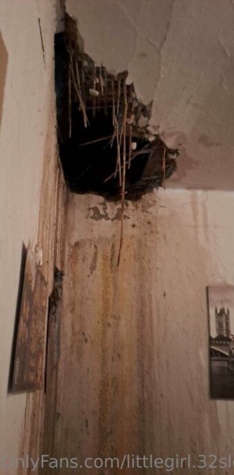 littlegirl.32slovakfree Nude Leaks OnlyFans Photo 8