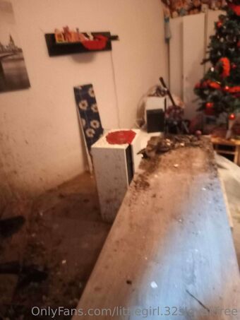 littlegirl.32slovakfree Nude Leaks OnlyFans Photo 2