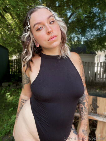 opalcat Nude Leaks OnlyFans Photo 17
