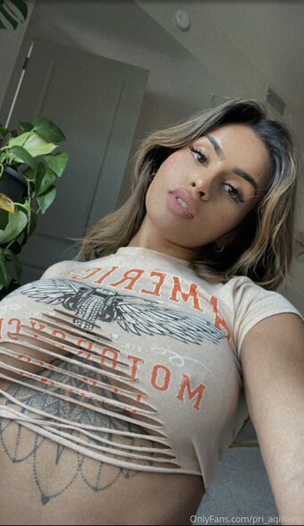 pri_aqillavip Nude Leaks OnlyFans Photo 42