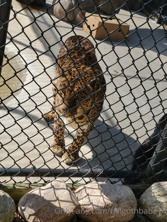 tallgothbabe14 Nude Leaks OnlyFans Photo 9