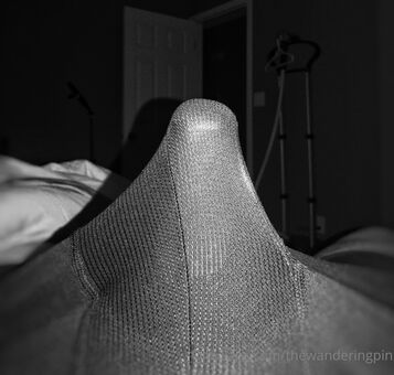 thewanderingpin Nude Leaks OnlyFans Photo 12