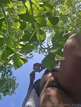 kitty_styles Nude Leaks OnlyFans Photo 19