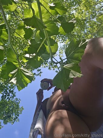 kitty_styles Nude Leaks OnlyFans Photo 20