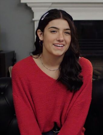 Charli Dam Nude Leaks OnlyFans Photo 1