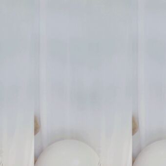 seosils2 Nude Leaks OnlyFans Photo 3