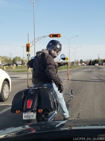 lucifer-du-quebec Nude Leaks OnlyFans Photo 16