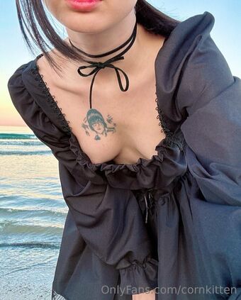 cornkitten Nude Leaks OnlyFans Photo 85
