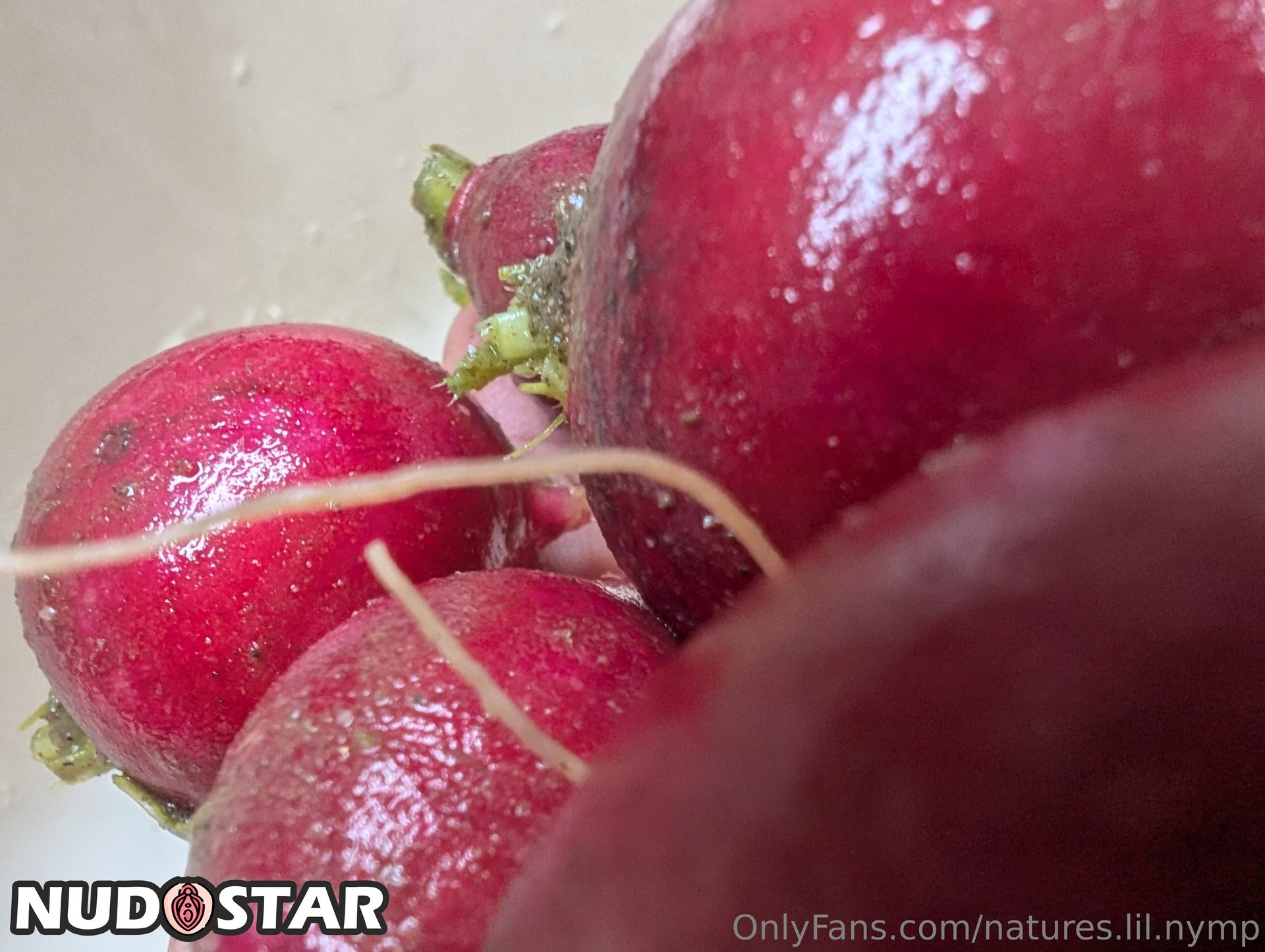 Natures_Lil_Nymp Leaked Photo 17