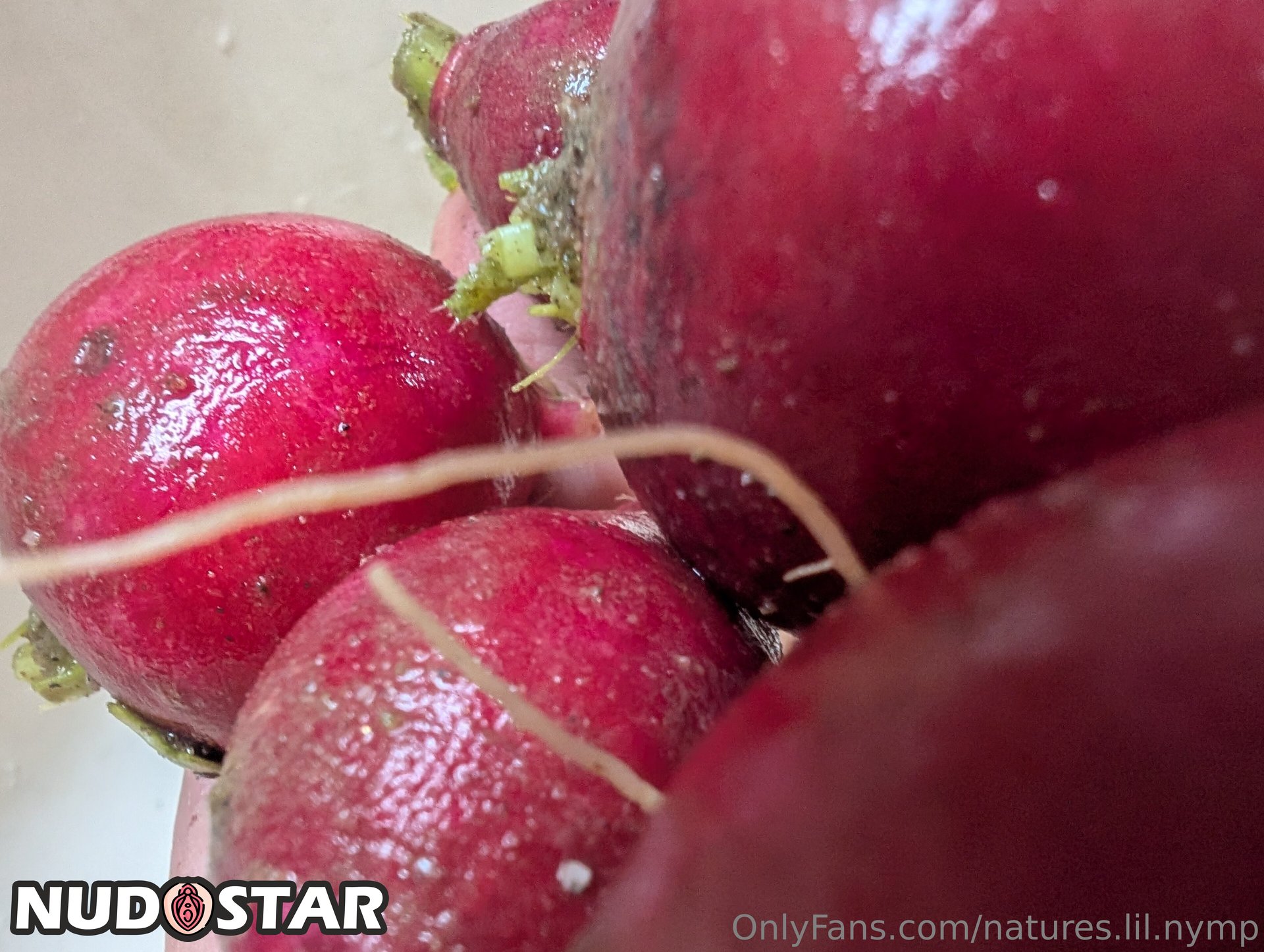 Natures_Lil_Nymp Leaked Photo 16