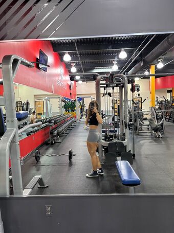 shelfatron Nude Leaks OnlyFans Photo 2