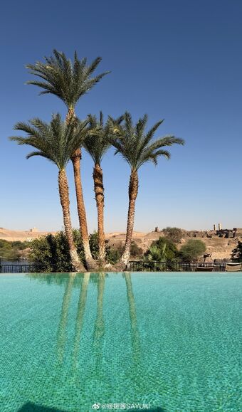 Yuan Sayuki Weme Nude Leaks OnlyFans Photo 458